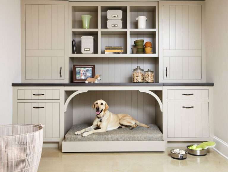 Pet-Friendly Design: Stylish Solutions for Animal Lovers